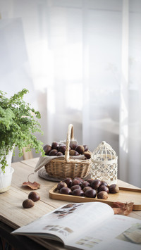 Chinese chestnut ranking
