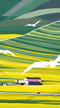 Illustration of multilevel terraced fields