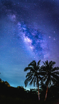 漫步星空-拍信图库