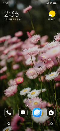 Floral Magic