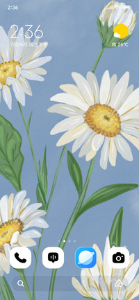 Soft Petal