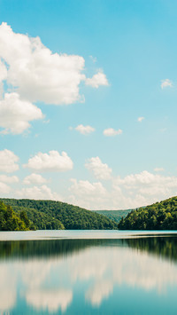 Landscape vegetation