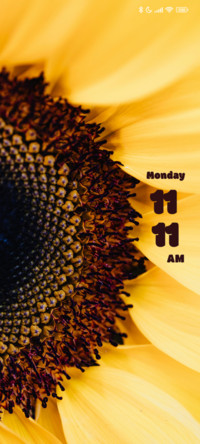Sunflower