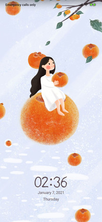 Persimmon Girl