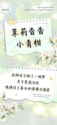 茉莉杳杳小青柑