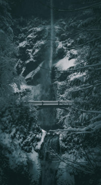 Nature B7 (25)