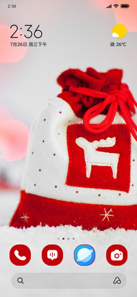 Xmas Bag