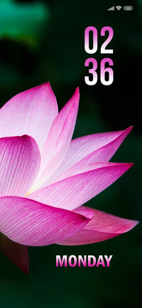 Pink Flower