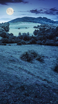 Blue moonlight-02