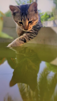 eyes on water.png