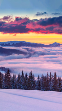 Snow-covered