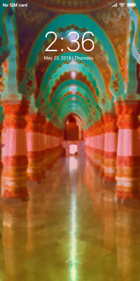 Palace_DWM19