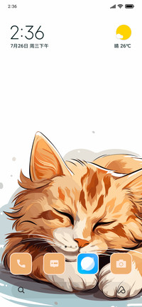 Sleeping CAt