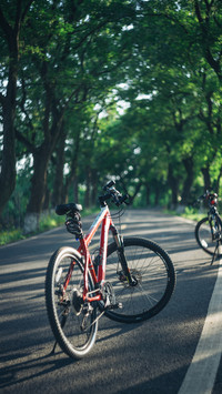 What do you know about healthy riding 3