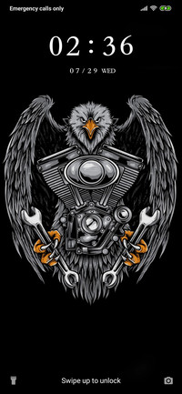 Eagle Face -Dark_3MDS