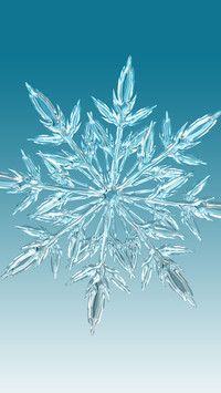 Closeup of snowflakes