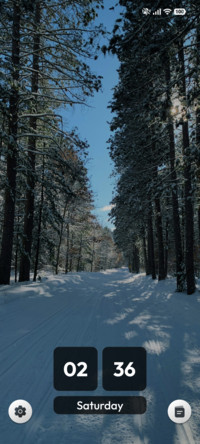 Silent Wilderness