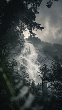 133909_1440x2560.jpg