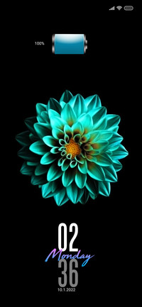 Amoled duo