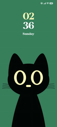 Midnight Cat