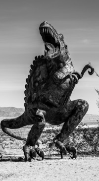 Dinosaur (7)