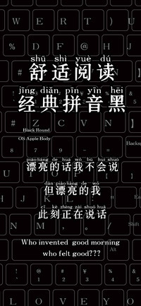 舒适阅读经典拼音黑