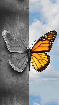 Common psychological phenomena in life 9