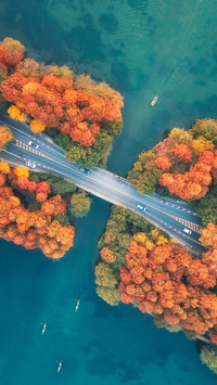 Autumn scenery on both sides of the Grand Canal 49