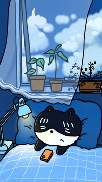 黑猫的生活漫游录