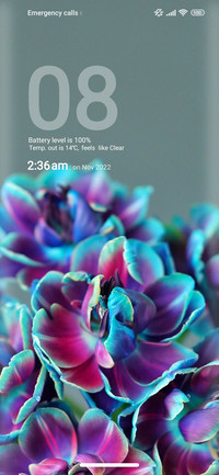 Flower_nature