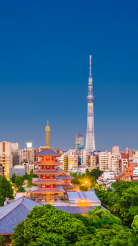 解锁日本旅行新视角