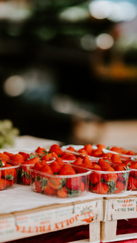 international_food (2)