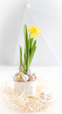 Easter (7)