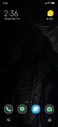Night Palmtree
