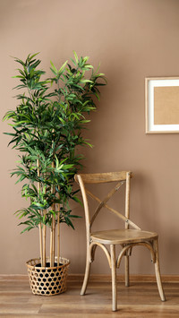 Dust collection ability strong plants