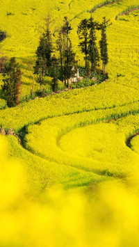 Yunnan has not only Lijiang 54