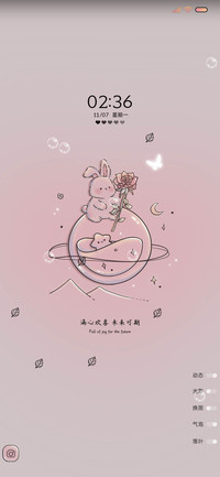 星河玫瑰兔