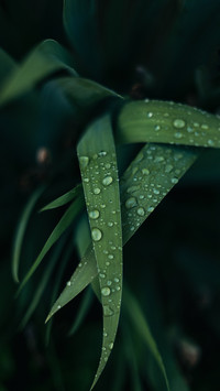 回归生活本真