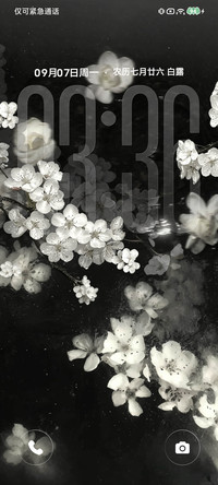 景深重感 夜涧白花