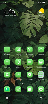 Rainforest Clock