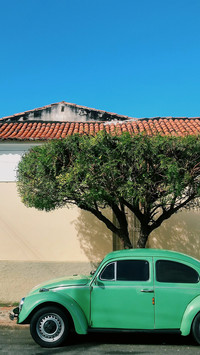OGQ_car (3)