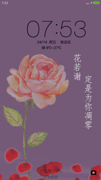 玫瑰花情节