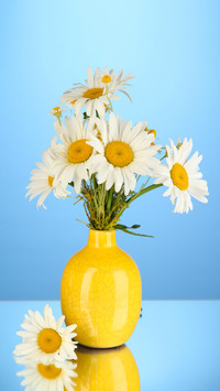 Tips for Flower Bottle Insertion 47