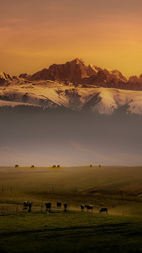 Cloud shadows among Tian Mountains pasture
