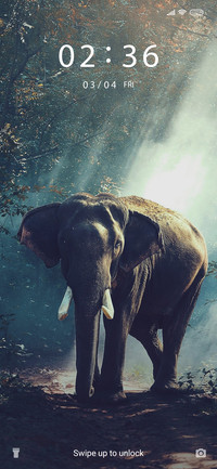 Elephant Pride