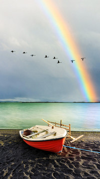 Formation of Rainbows 7