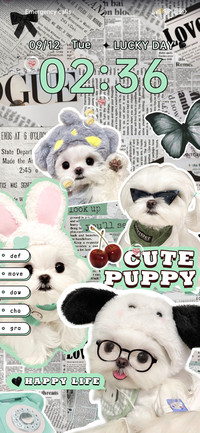 puppy two mode