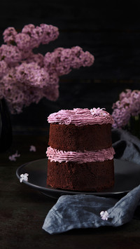 Sweet Fresh Fruit Chocolate Dessert
