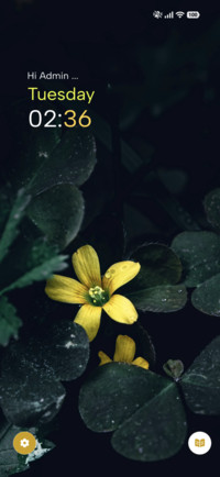 Rainy Clover