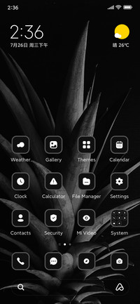 Pineapple